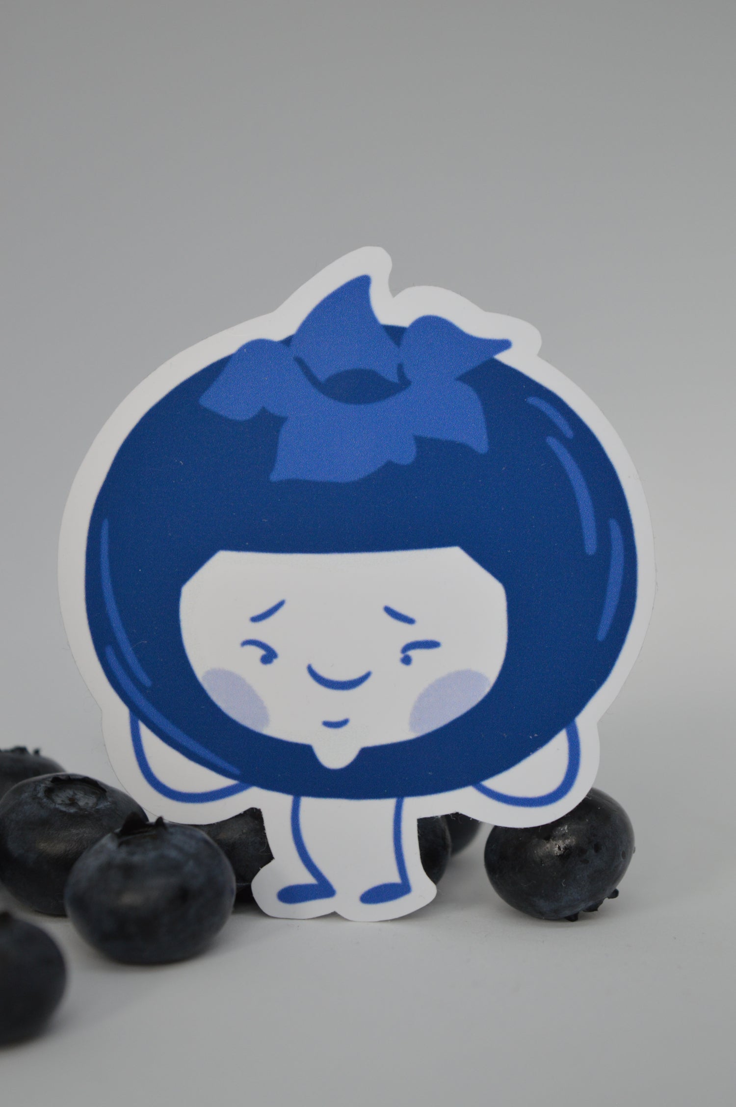 Blueberry Sticker 4