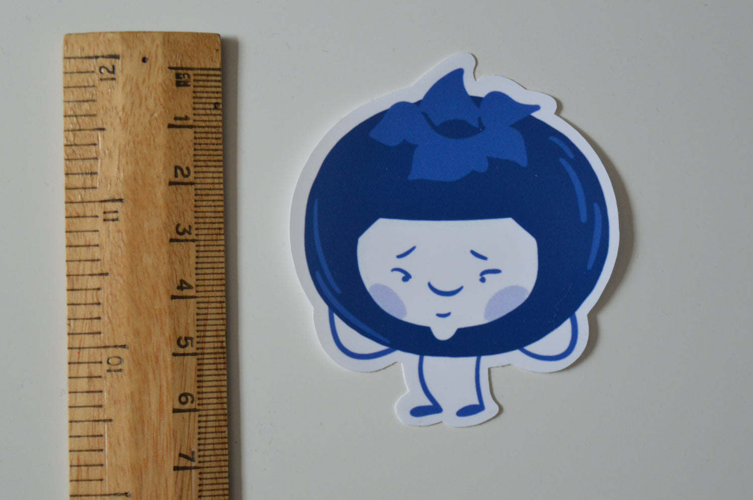 Blueberry Sticker 3