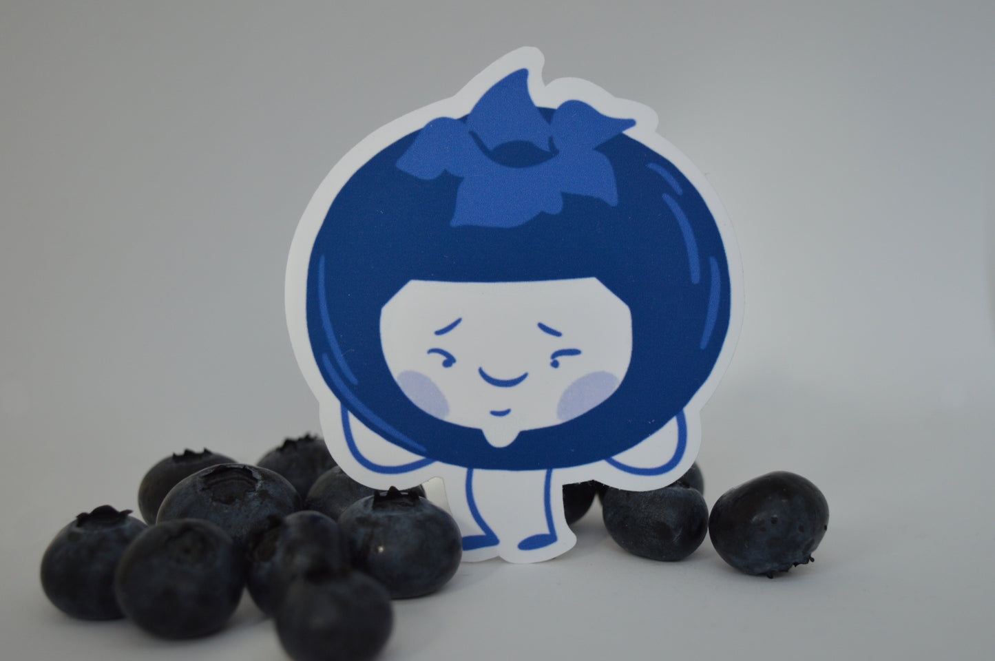 Blueberry Sticker 1